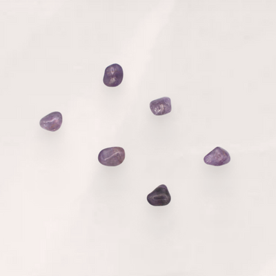 Amethyst 6-pack Magnets