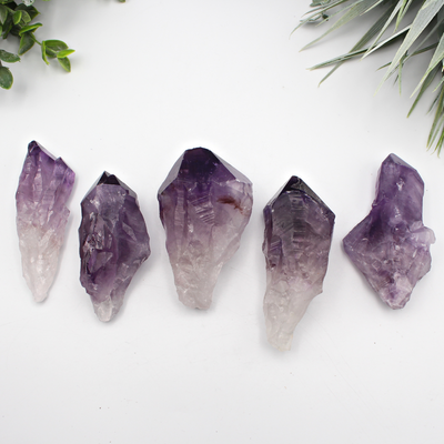 "Dragon Tooth" Natural Amethyst Points