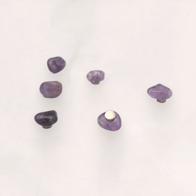 Amethyst 6-pack Magnets
